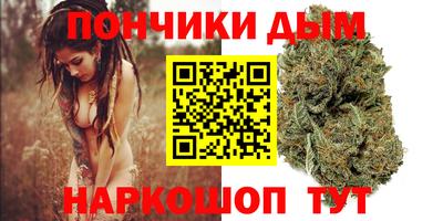 прущие грибы Чебоксары