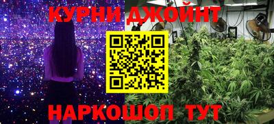 прущие грибы Чебоксары