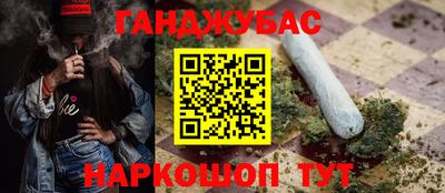 прущие грибы Чебоксары