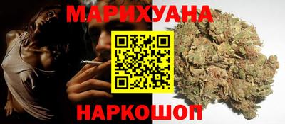 прущие грибы Чебоксары