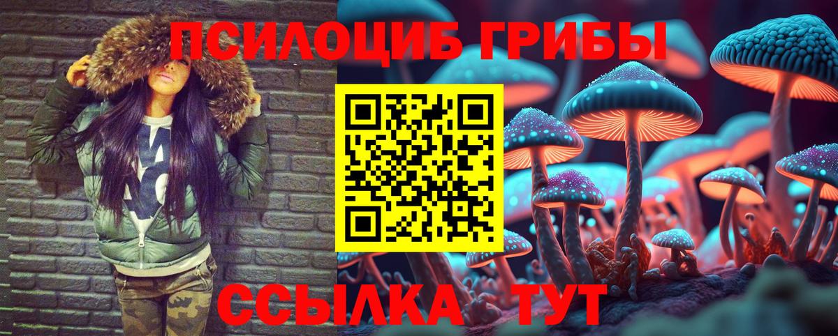 Губкинский  купить наркотик  Галлюциногенные грибы ЛСД  Вход с VPN  Галлюциногенные грибы Psilocybine cubensis 